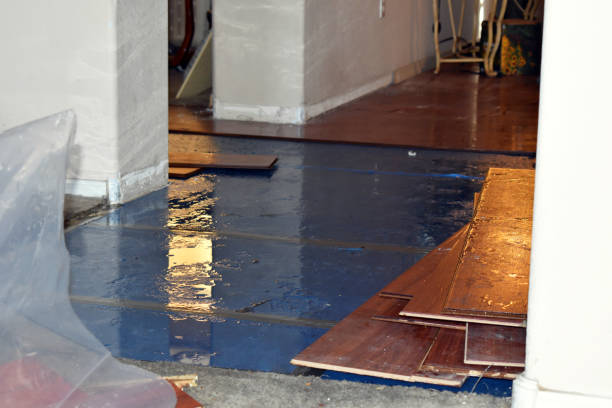 Professional Water Damage technician working in Fall River, WI